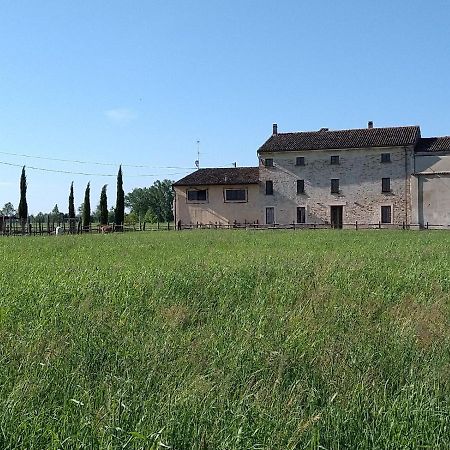 B&B Castel Goffredo San P 3 Exterior photo