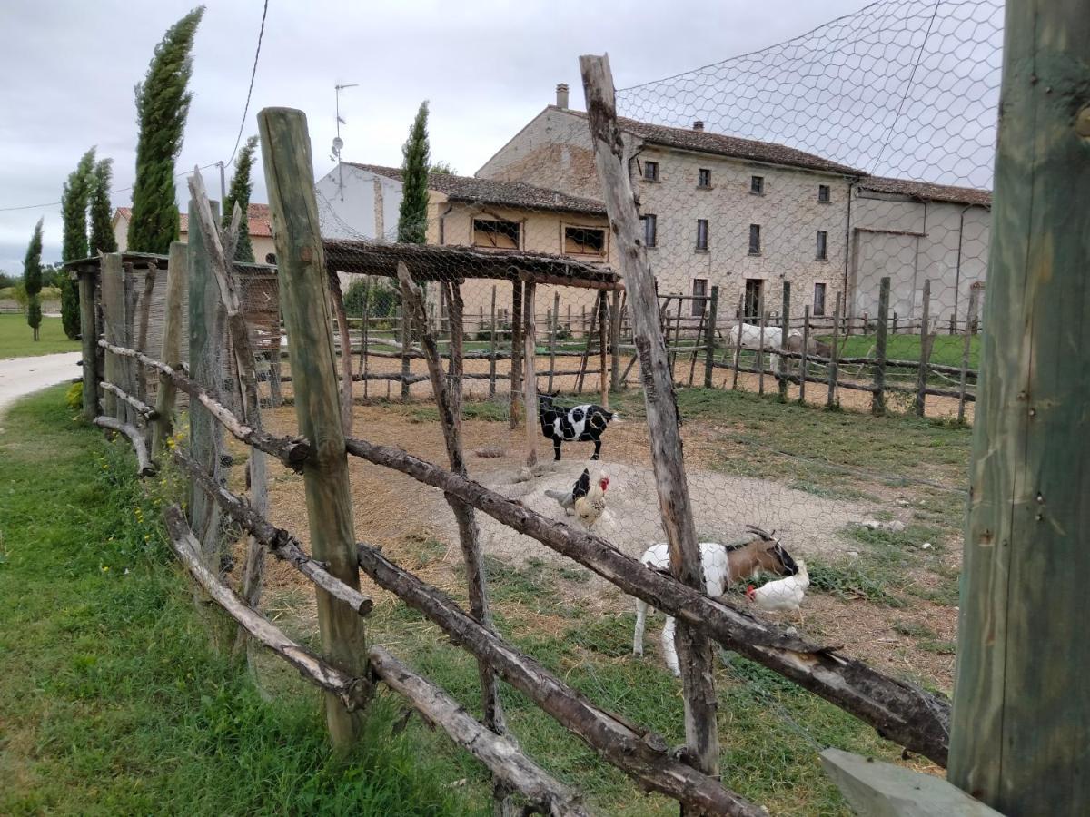 B&B Castel Goffredo San P 3 Exterior photo